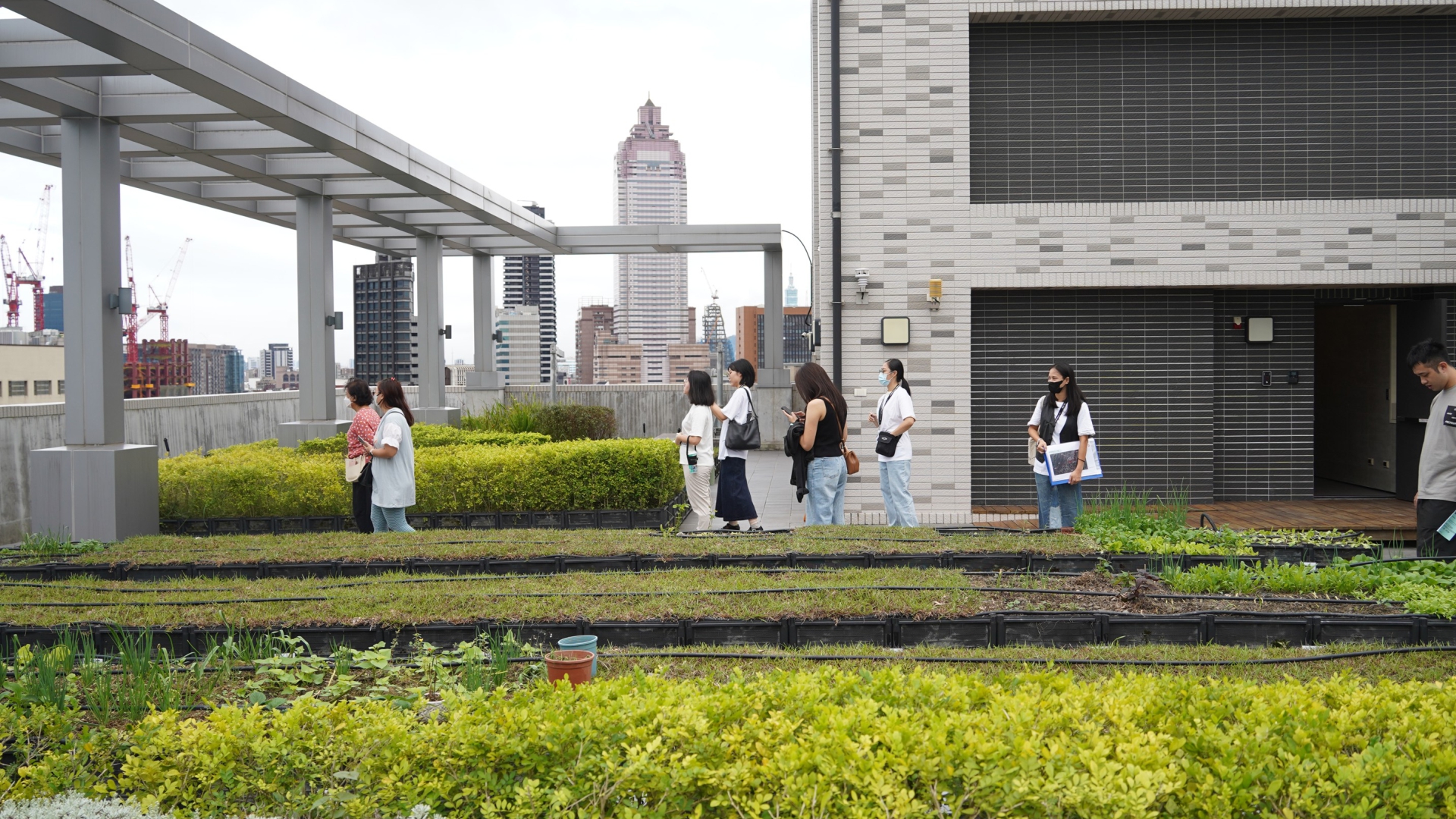 福星社宅社宅屋頂農園
